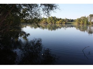 Property photo 57 - ILLINOIS LAND AUCTION - 705+/- ACRES OFFERED IN 16 TRACTS IN EDWARDS COUNTY, ILLINOIS